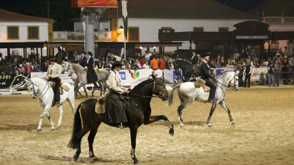 Um ferido em acidente com charrete na Feira Nacional do Cavalo na Golegã