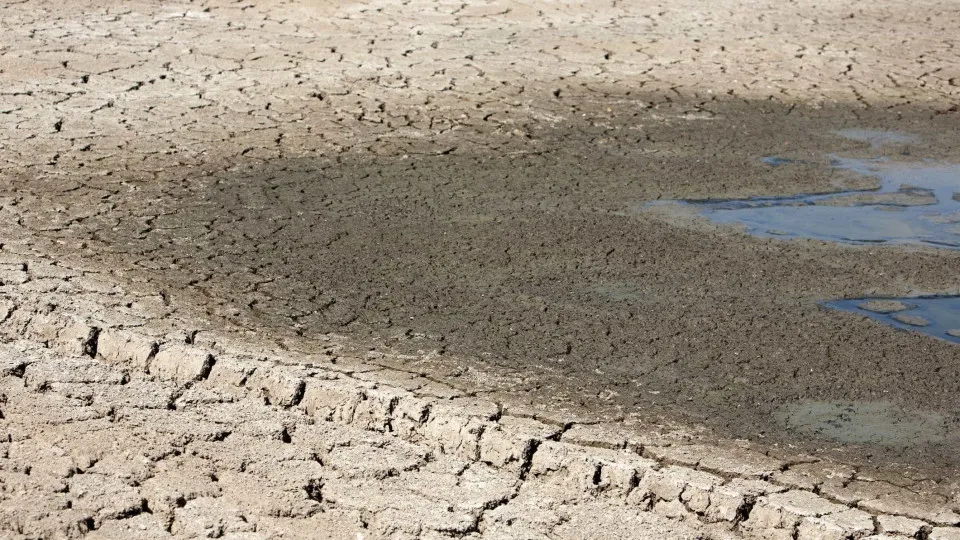 Brasil apoia Angola na formação agrícola em região com seca extrema