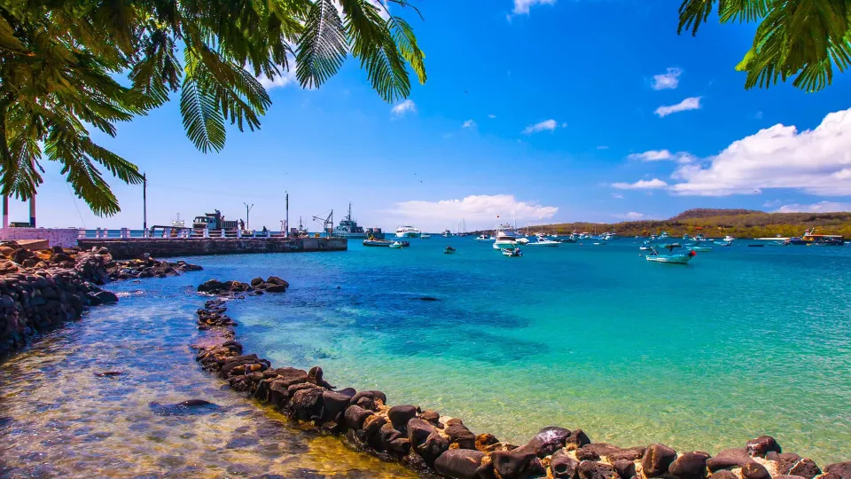 Cientistas vão introduzir espécies extintas em ilha das Galápagos