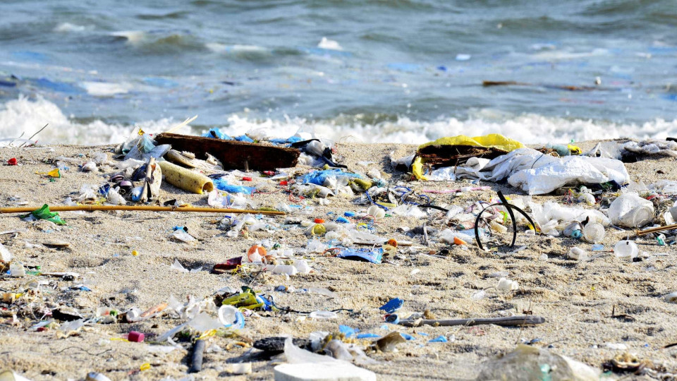 TransforMAR recolheu mais de 47 toneladas de plástico nas praias em 2020