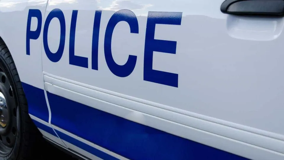 Bebés gémeos encontrados mortos dentro de mala de viagem nos EUA