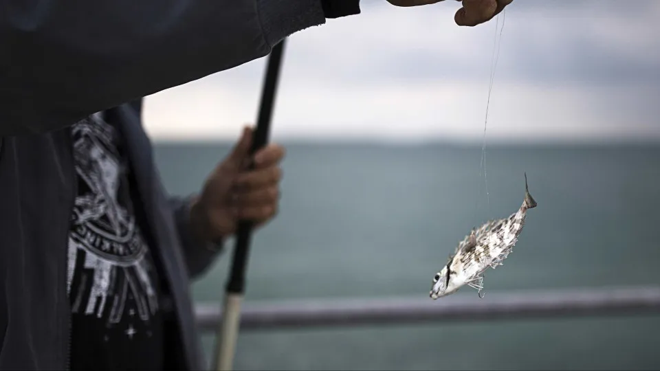 pescadores, pescador