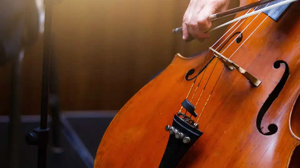 Ciclo de violoncelo em Coimbra com angariação de fundos para afegãos