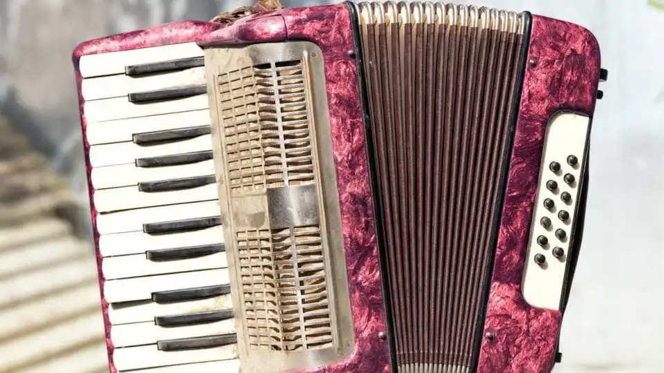 Mais de 600 músicos no Encontro de Concertina da Barrenta em Porto de Mós