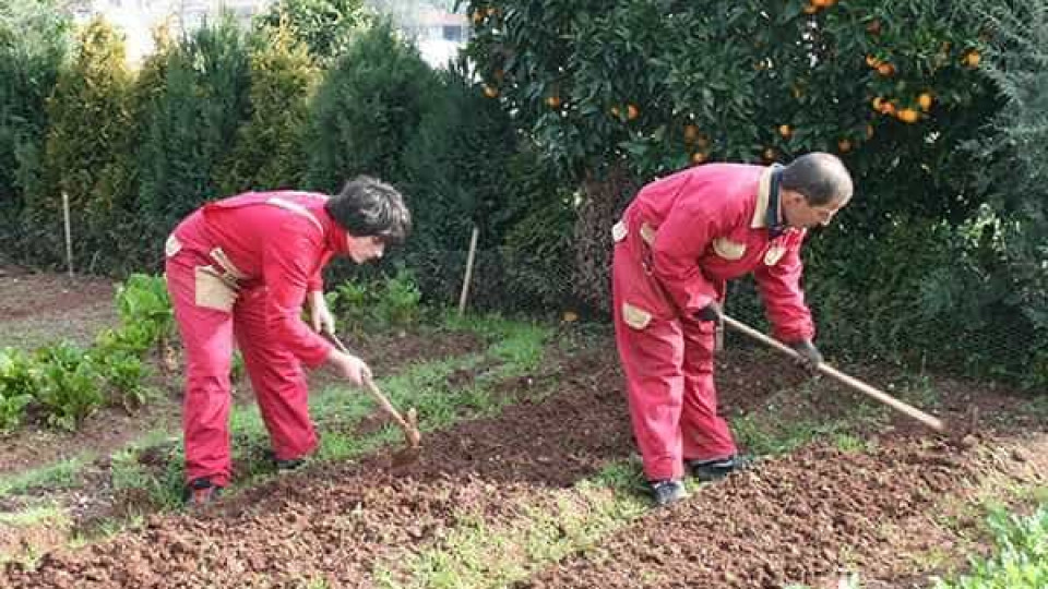 'Ervas daninhas': O projeto que é muito mais que um curso de jardinagem