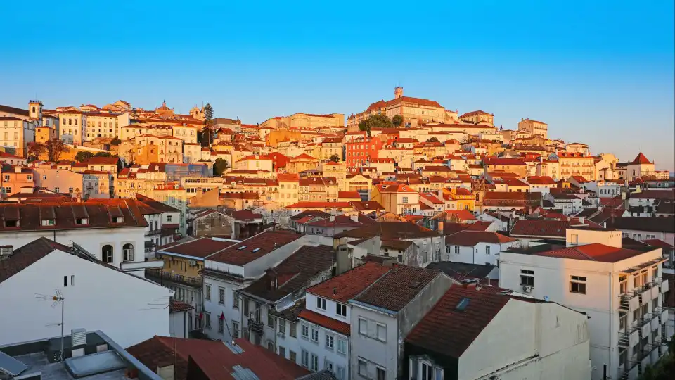 Covid: Município de Coimbra reforça higienização dos edifícios escolares