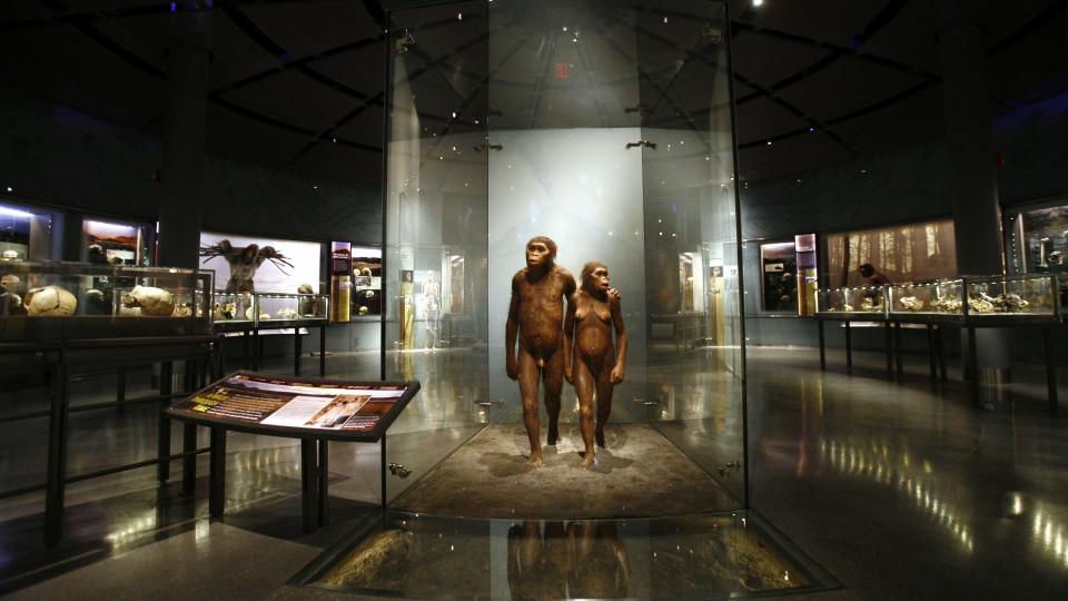 Homo Sapiens usou arco e flecha 40.000 anos mais cedo do que relatado