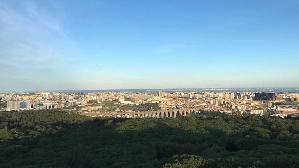 Lisboa celebra 90 anos do Parque Florestal de Monsanto com atividades