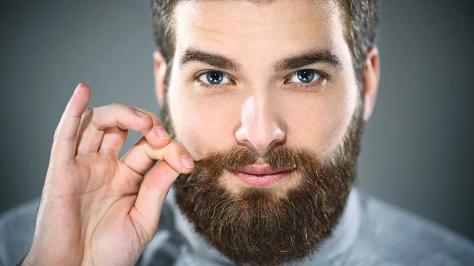 Os factos mais impressionantes sobre barbas