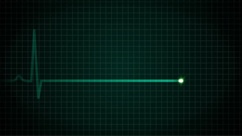 Notícia