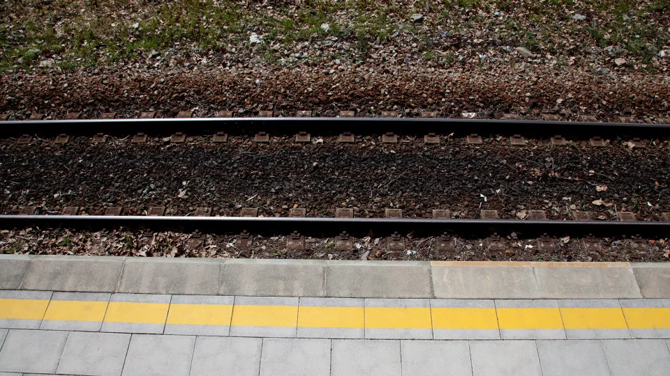 Atropelamento ferroviário corta Linha do Norte