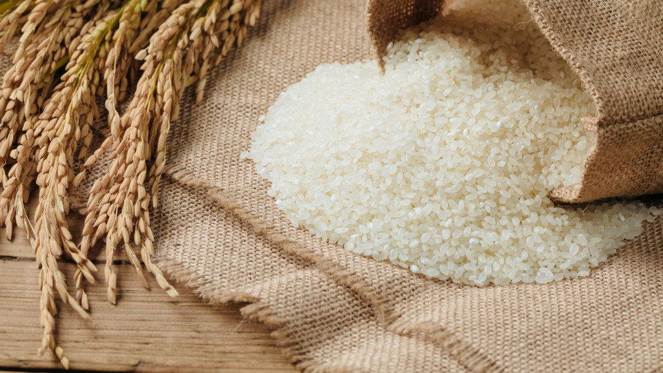 O arroz tem glúten? É um hidrato? Esclareça-se este acompanhamento