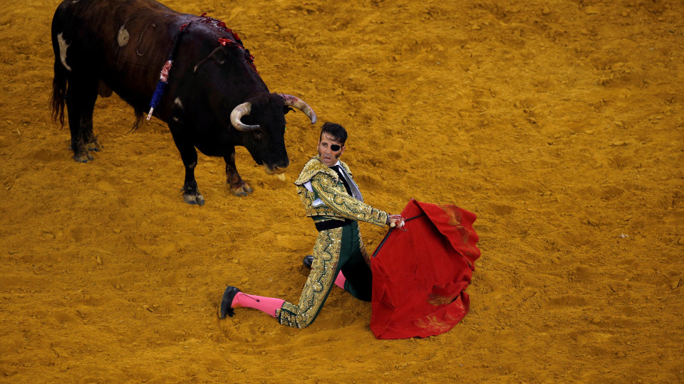 Touro arranca o couro cabeludo a toureiro em Espanha