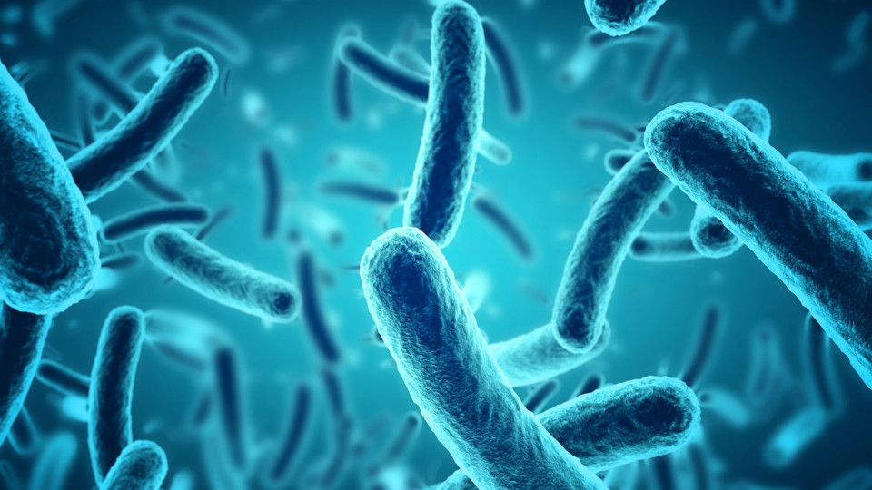 Sete sintomas de infeção por bactéria 'devoradora de carne humana'