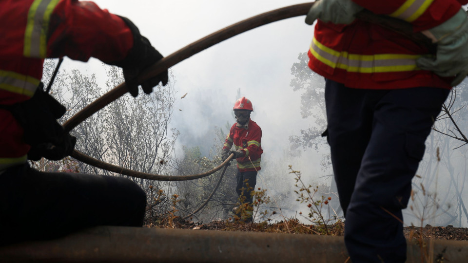Fogo em Porto de Mós já consumiu cerca de mil hectares