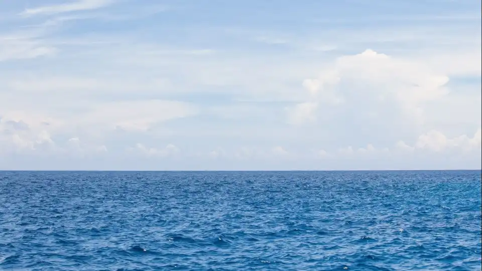 Projeto 'Mulheres do Mar' junta centenas de cuidadoras dos oceanos