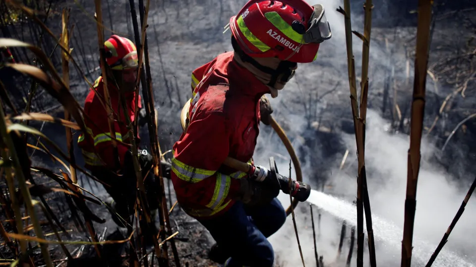 Fogo em Azambuja mobiliza 400 operacionais e três meios aéreos