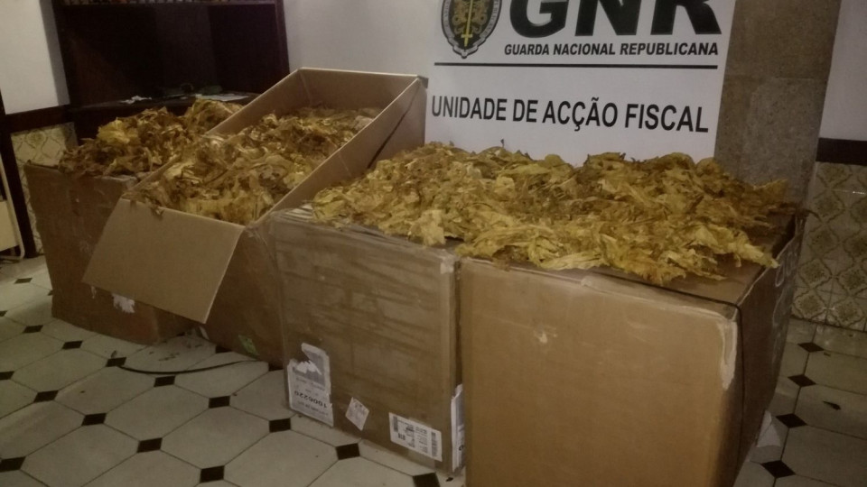 GNR apreende 120 mil euros em folhas de tabaco em Penafiel