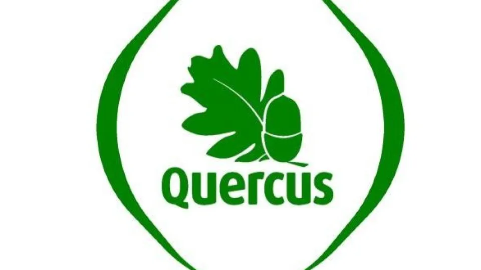 Quercus vai queixar-se na CE de luz verde a tangerinas em Alcácer do Sal