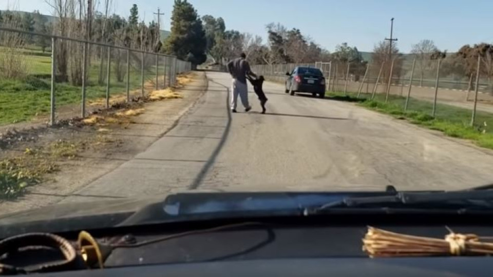 Cão desesperado tenta entrar em carro de dono que o abandonou