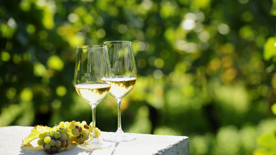 Vila Galé e AP Hotels estudam parceria para hotel e produção de vinho