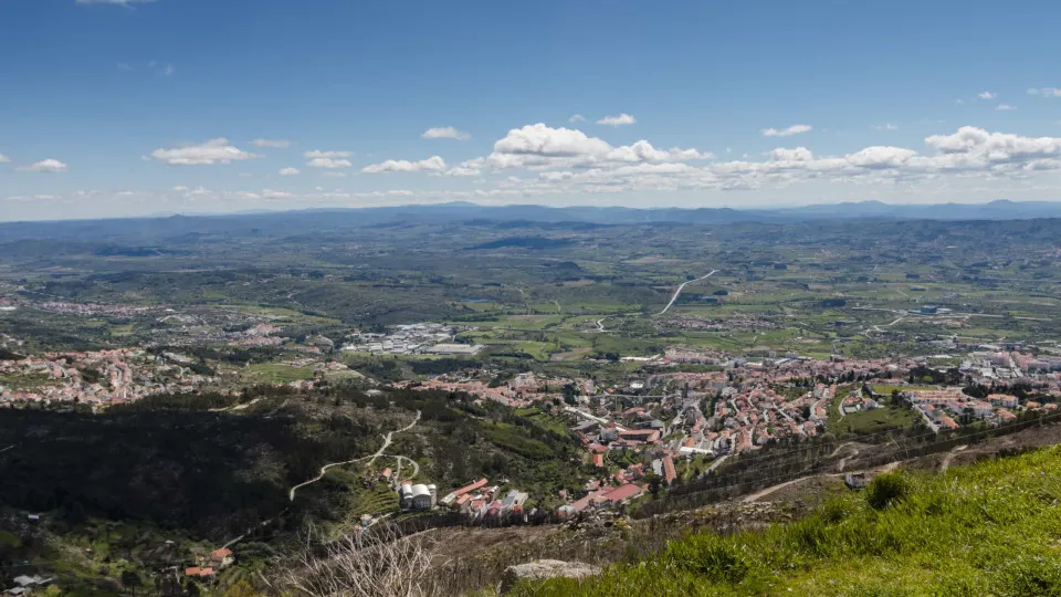 Arte Urbana regressa à Covilhã com sétima edição do WOOL