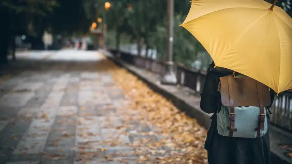 Proteção Civil regista 361 ocorrências devido à chuva e vento forte