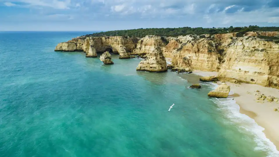 Voo entre Açores e Faro vai atrair mais turistas ao Algarve, diz Turismo