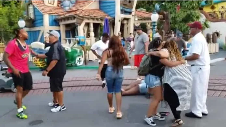 Disneyland torna-se palco de uma cena de violência "inaceitável"
