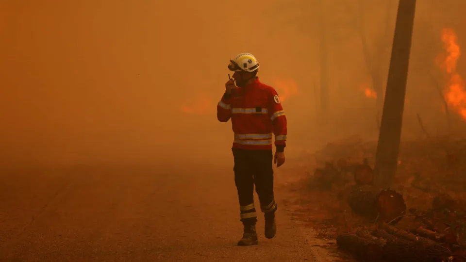 incêndio, bombeiros, chamas, cinzas, fogos florestais