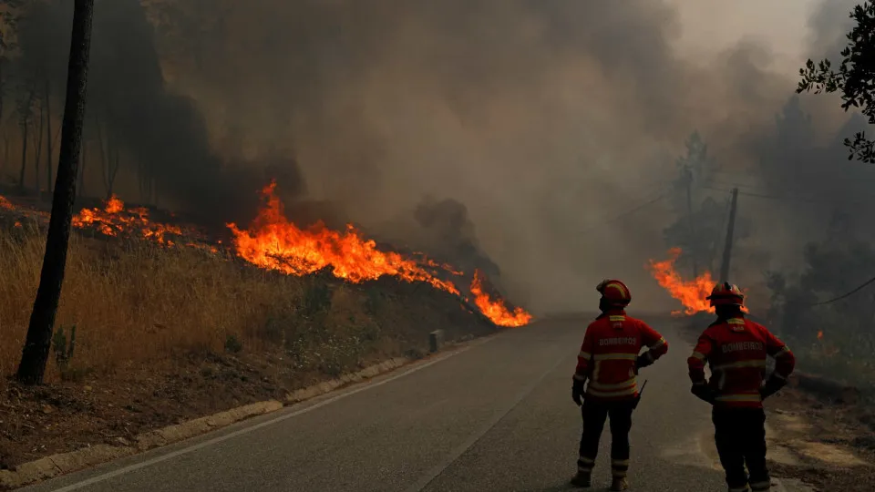 incêndio, bombeiros, chamas, cinzas, fogos florestais