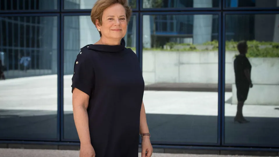 Maria Lúcia Amaral, Provedora de Justiça