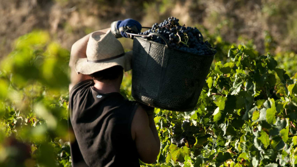 Adiantamentos de pagamentos diretos a agricultores podem ir até 70%