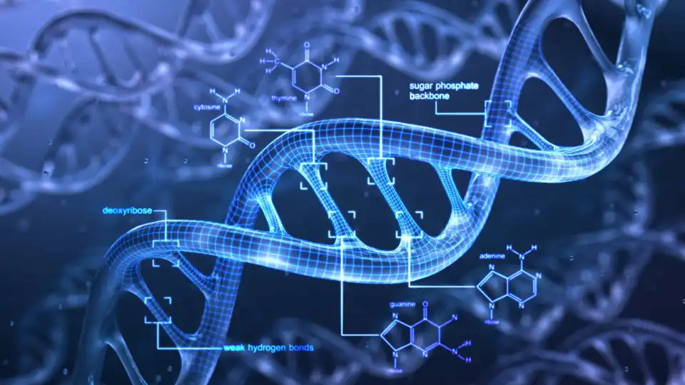 Investigadores reconstroem genomas humanos mais antigos da África do Sul