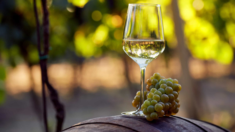 Quinta D'Amares Alvarinho 2022 eleito o melhor vinho verde