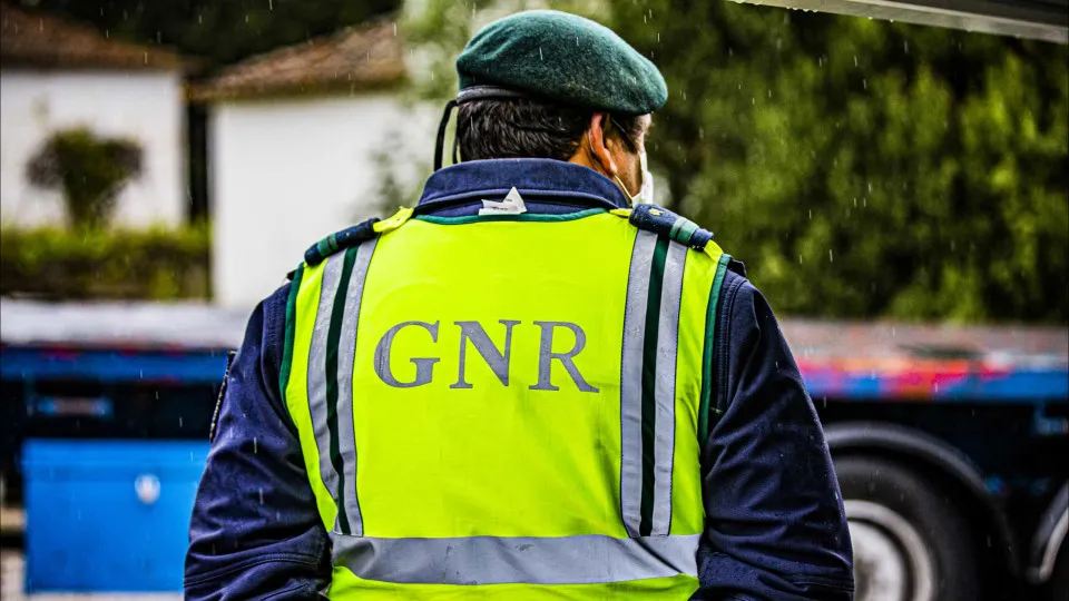 GNR suspende trabalhos de empresa de limpeza de terrenos em Colares