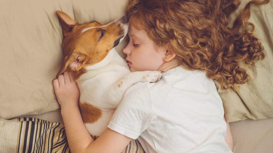 Cães: Durante quantas horas devem dormir?