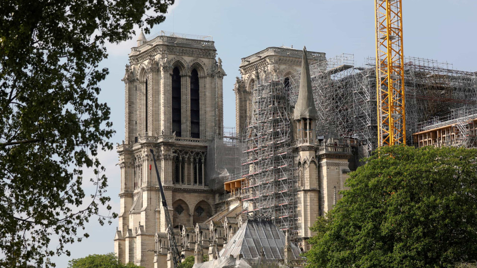 Notre-Dame: França vai reconstruir pináculo com carvalhos que têm séculos