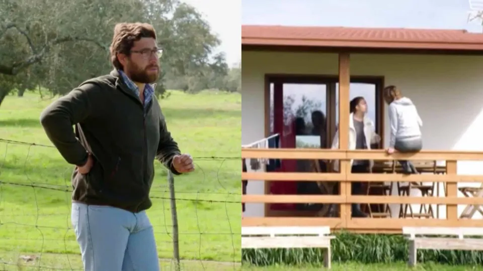 Clima pesado em 'Agricultor': "Víbora! Não vales nada, és uma m****"