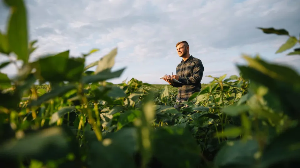 Best outdoor jobs for those who hate to be indoors