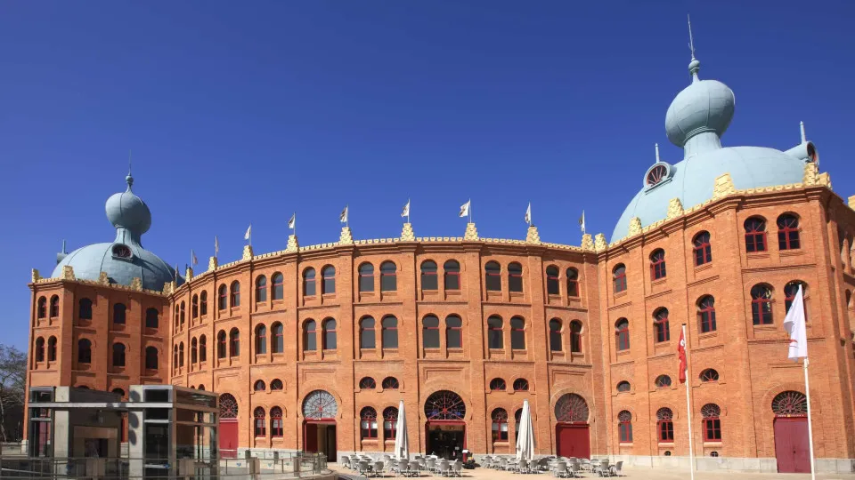 campo pequeno