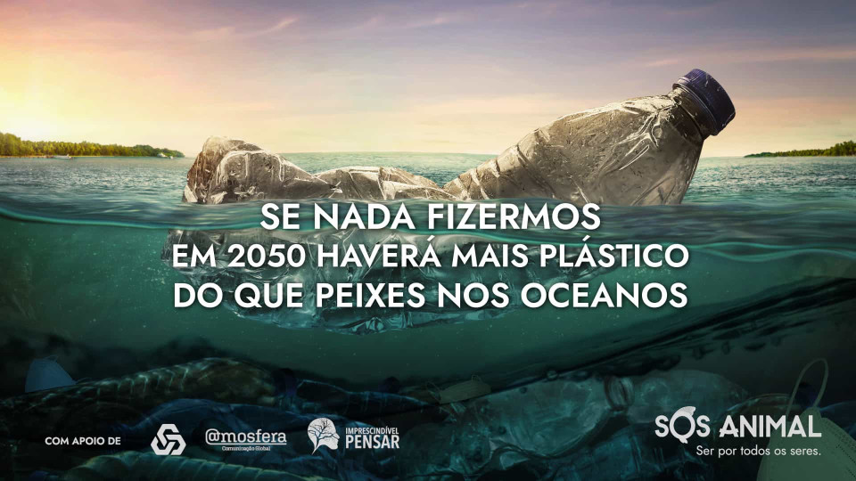 Organização SOS Animal lança campanha de proteção dos oceanos