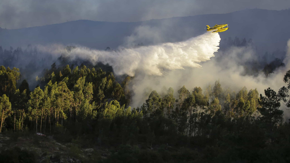 Incêndio em povoamento florestal mobiliza oito meios aéreos na Batalha