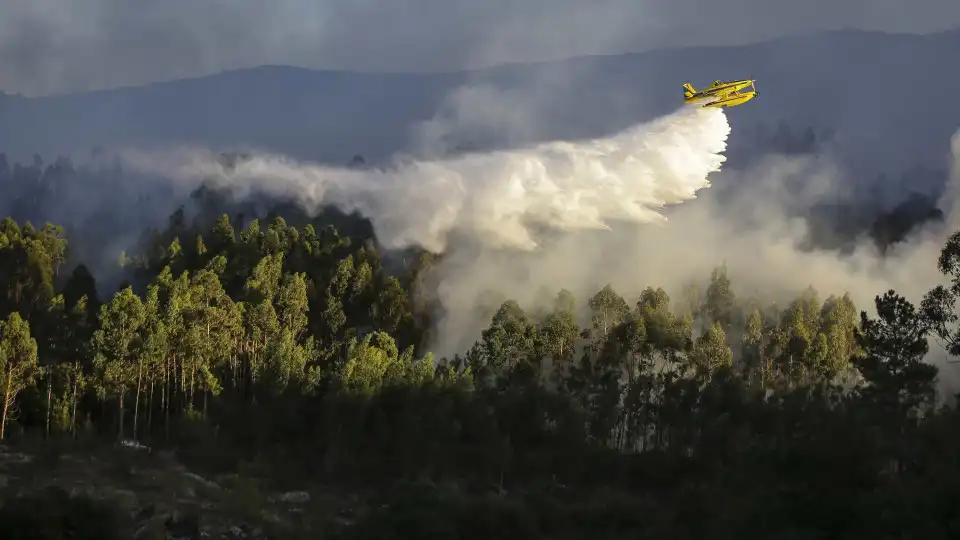 Incêndios em Silvares, Aguiar da Beira e Pombal são os mais preocupantes