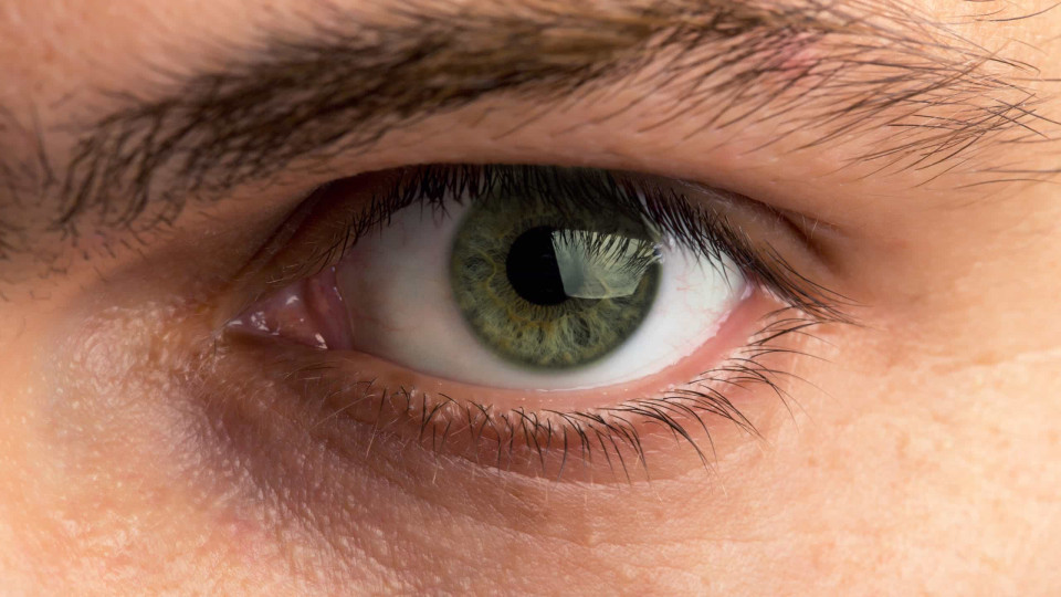 Tem olhos verdes? É provável que não saiba isto