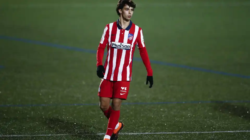 João Félix: "Muitos jogadores ficaram pelo caminho por não ter vontade"