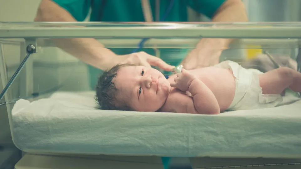 Bebé, hospital, recém-nascido, maternidade