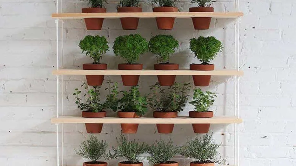Como posso ter uma horta dentro de casa?