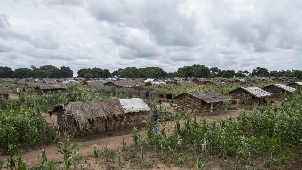 Exportações de produtos agrícolas em Moçambique cresceu em 125 milhões