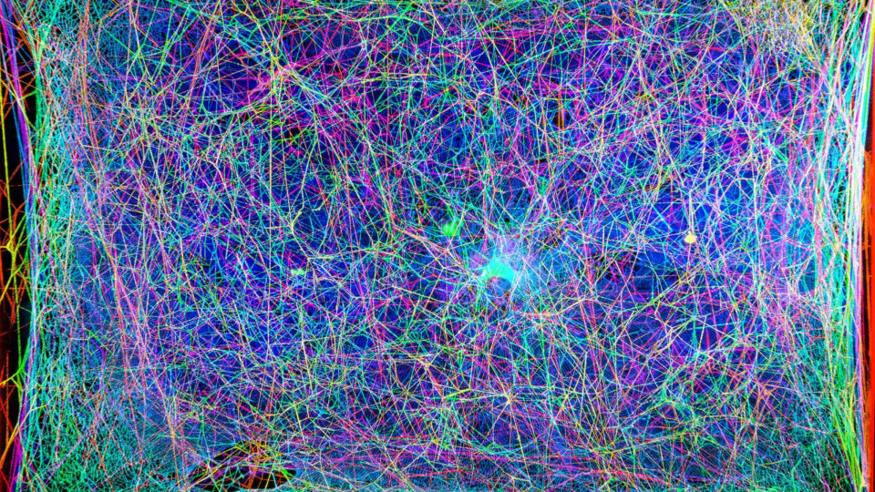 Cientistas do MIT 'traduziram' estrutura de teia de aranha para música